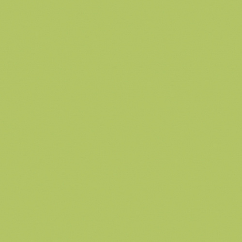 Керамогранит YC93 YourColor зеленый 600x600 неполированный
