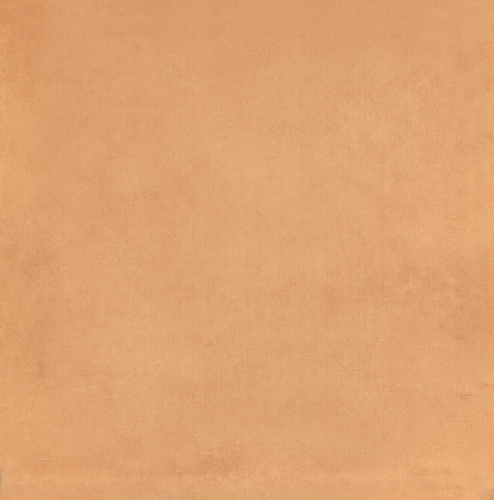 5238 Плитка настенная Капри оранжевая глянцевая 200х200х6,9