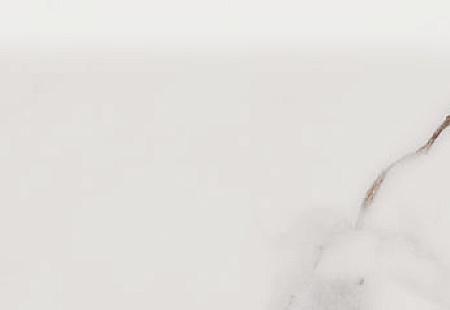 Керамогранит Kerama Marazzi Монте Тиберио бежевый белый 798х95 Натуральная