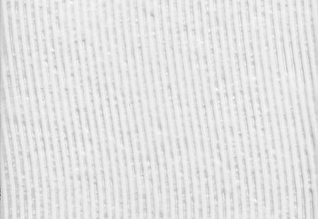 Керамическая плитка Kerama Marazzi Бьянка