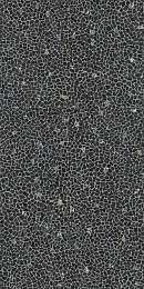 SG594202R Керамогранит Палладиана черный декорированный лаппатированный обрезной 2385х1195х11